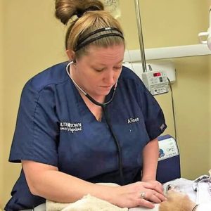 Alison Lead Vet Technician South Town Animal Hospital