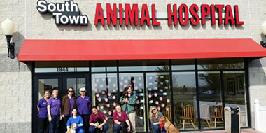 Staff photo outside South Town Animal Hospital building