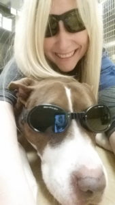Vet technician and dog wearing goggles for laser therapy