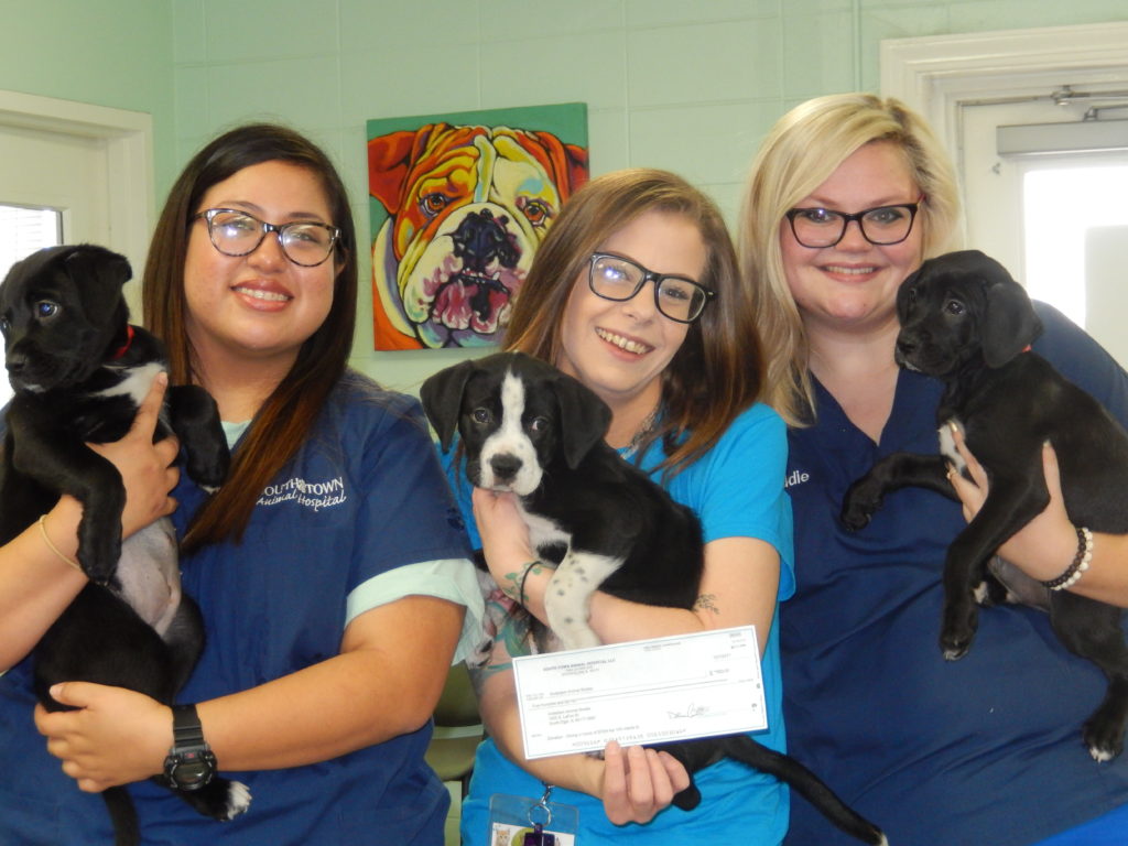 South Town Animal Hospital donation to Anderson Animal Shelter christmas 2017