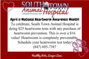 April 2018 Promotion about heart worm awareness