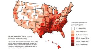 Map of united states showing number of average cases of heart worm reportings