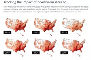 Map of united states showing number of heart worm reportings throughout the years