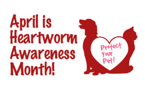 Picture for Heart warm awareness month
