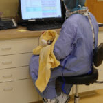 veterinarian in full medical gear sitting at a computer