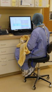 veterinarian in full medical gear sitting at a computer