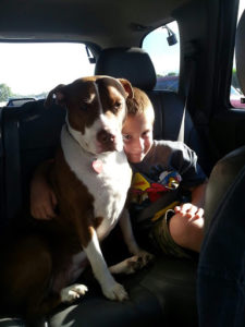 Young child with dog in backseat of car