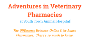 adventures in veterinary pharmacies title